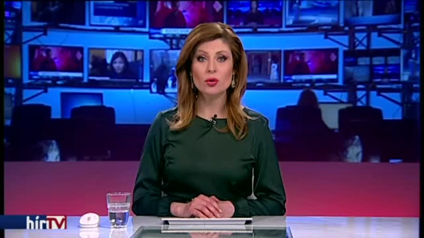 A kormánypártnak nincs dolga Mészáros repülőjével