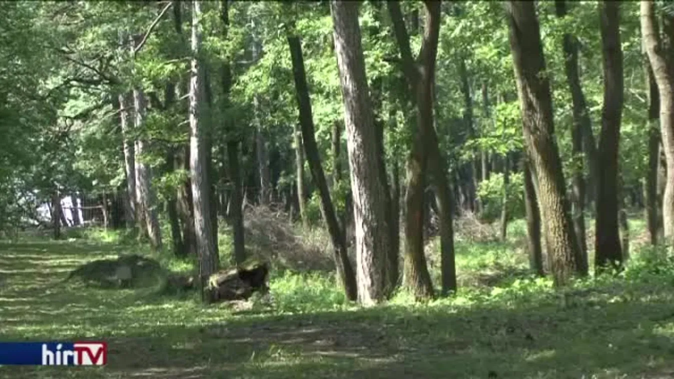 Hárommilliárdból szépül tizenkét turistaház