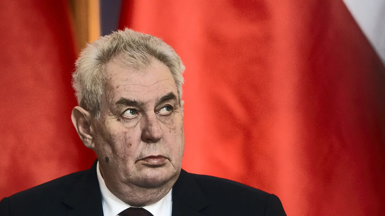 Zeman újrázott a cseh választáson
