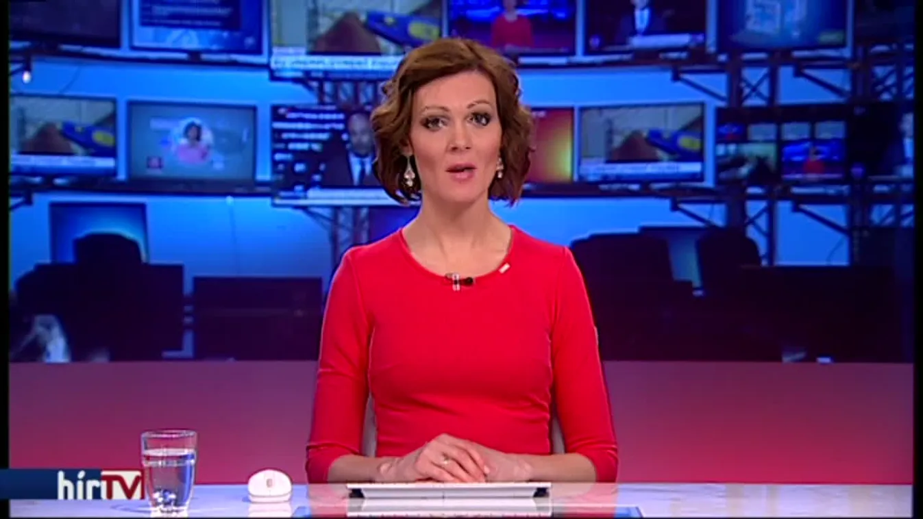 Továbbra is tagad a kakucsi késelős gyilkos