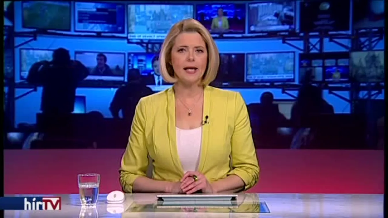 Nagy veszélyt látott egy civil szervezet munkatársában Hollik