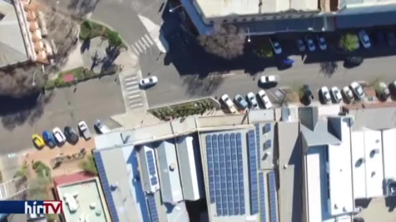 Felfedező – Elvis