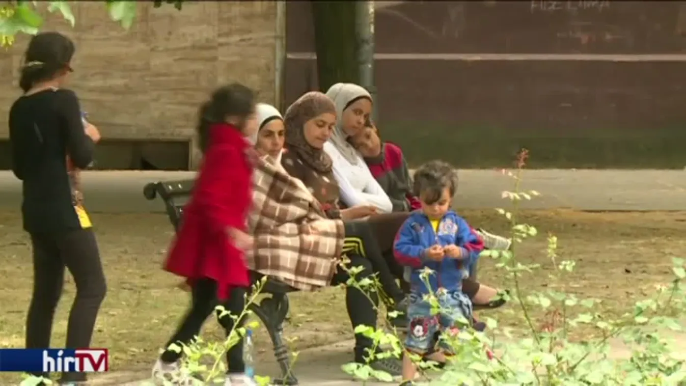 Szinte senkinek nem adnak oltalmazotti státust