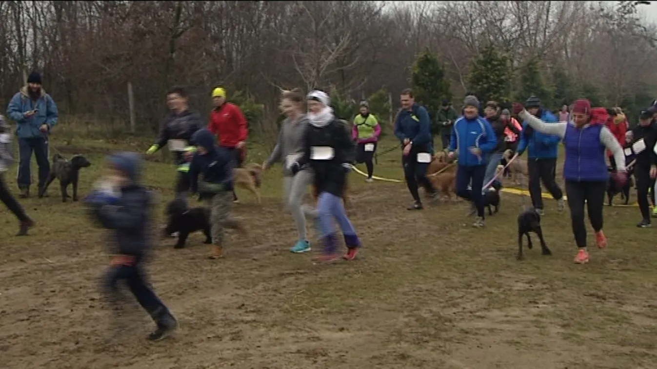Kutyás futással kezdték az új évet Budapesten