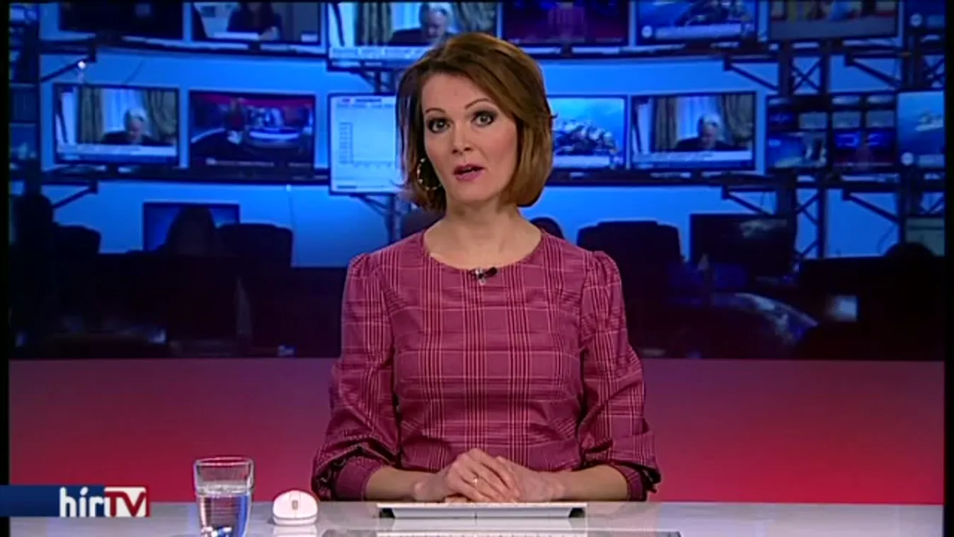 Vadai: Több ezer terrorista és drogdíler juthatott hamis papírokhoz