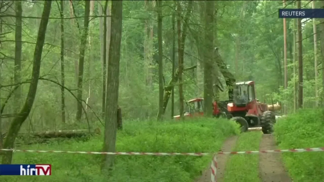 Erdőirtással sérthetett uniós jogot Lengyelország