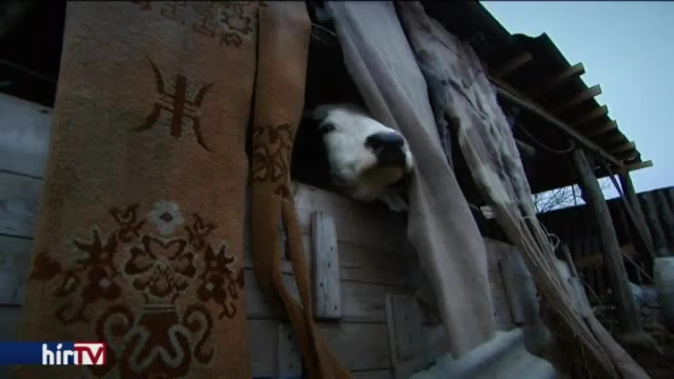 Panaszkönyv – Kertek alatt