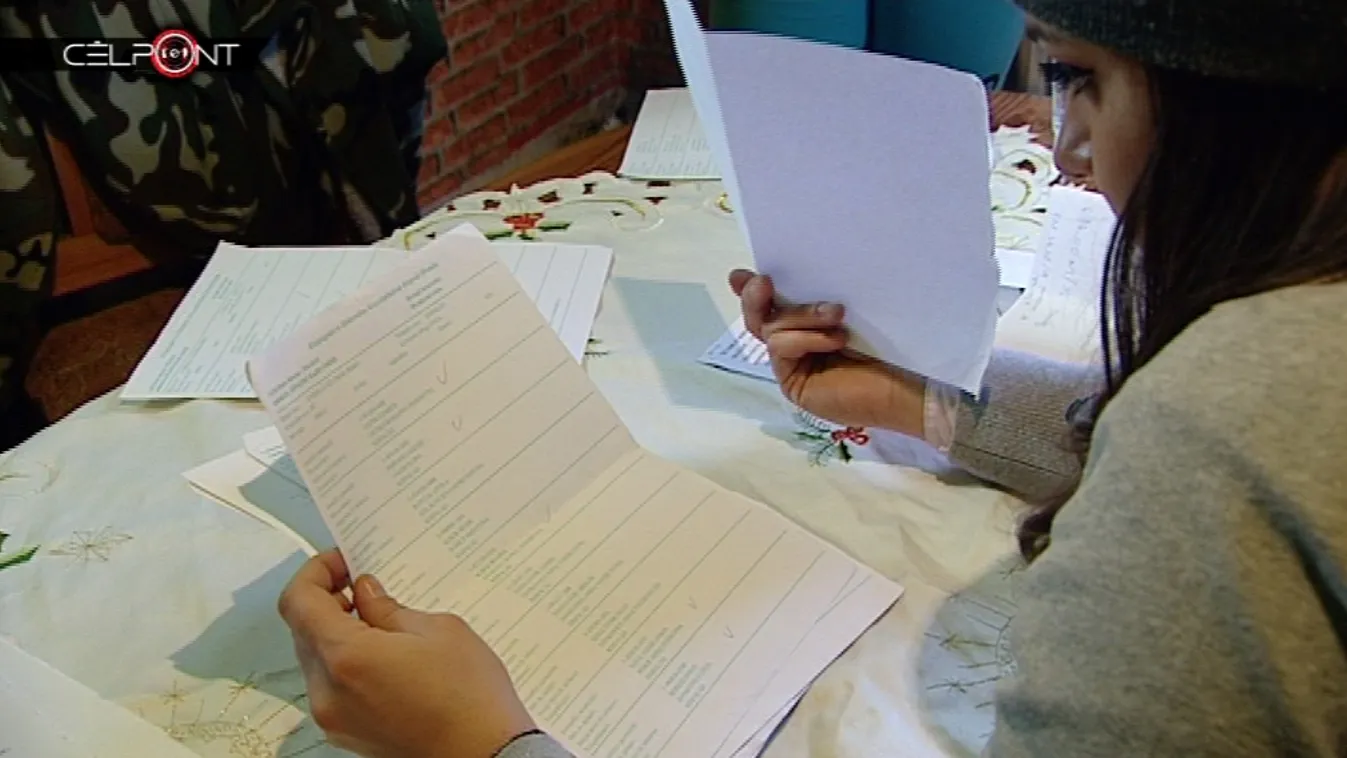 Irányított szavazók