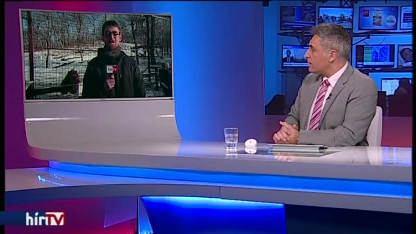 Sokáig tarthat még a tél, Romulus is meglátta az árnyékát – bejelentkezés 10 órakor