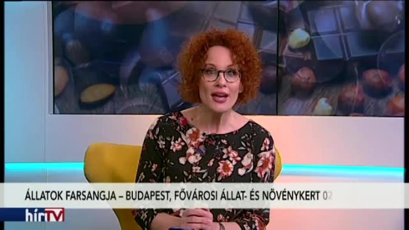 Reggeli járat - Programajánló