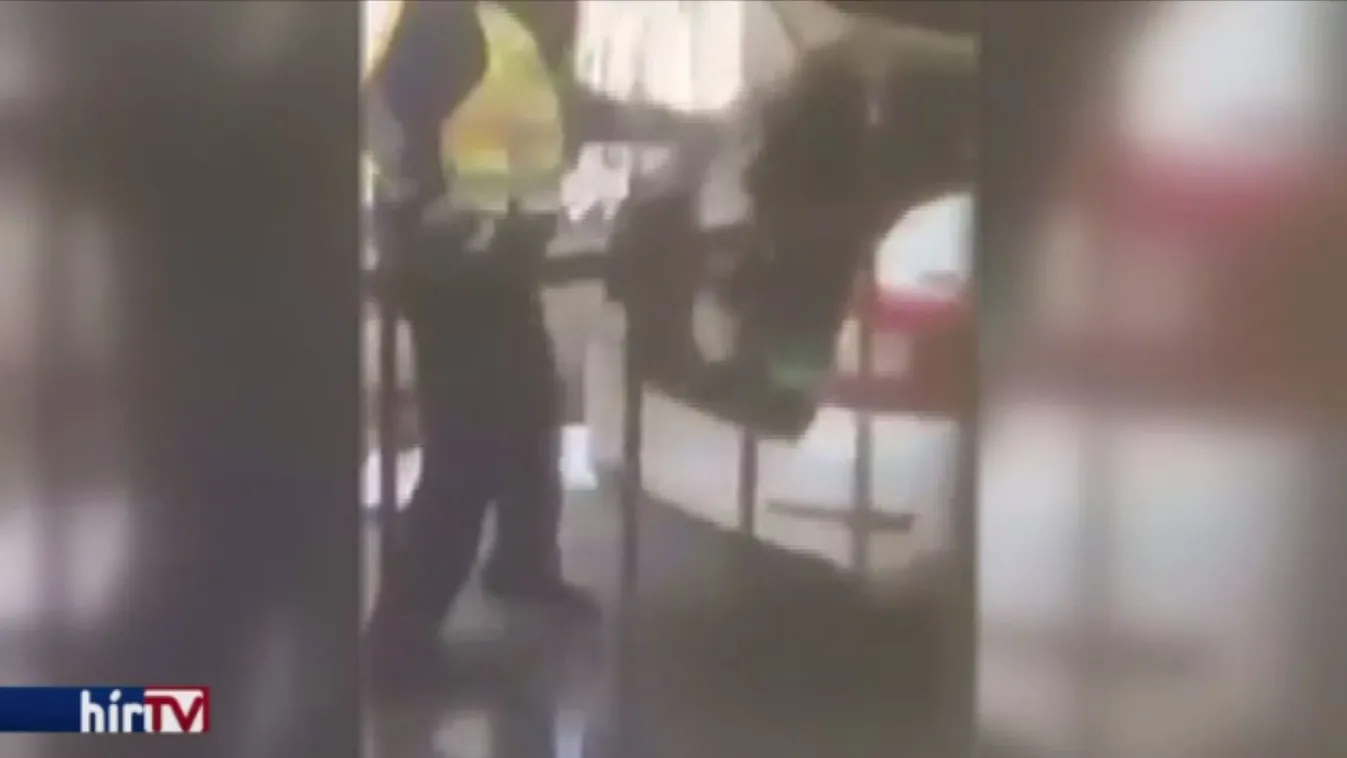 Azonnali hatállyal felfüggesztették az állatkínzó rendőrt