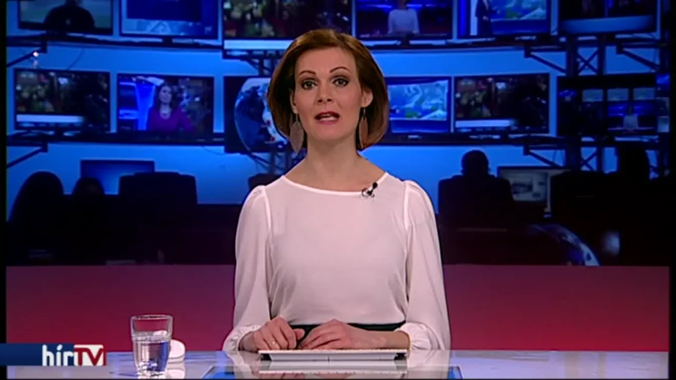 A kormány helyett a Momentum száll harcba az Ausztriában dolgozó magyarokért