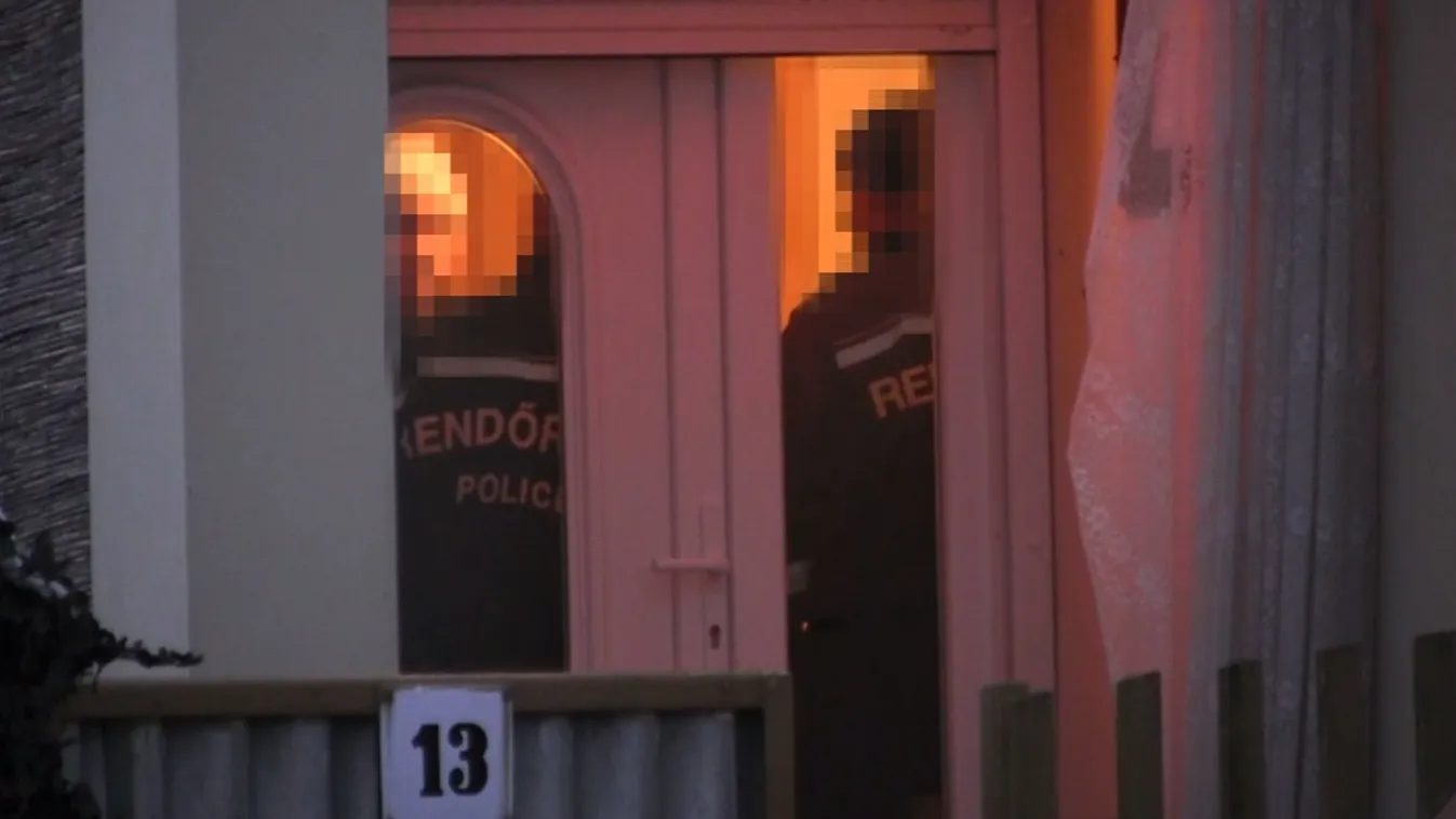 Végzett az anyjával, majd öngyilkos próbált lenni