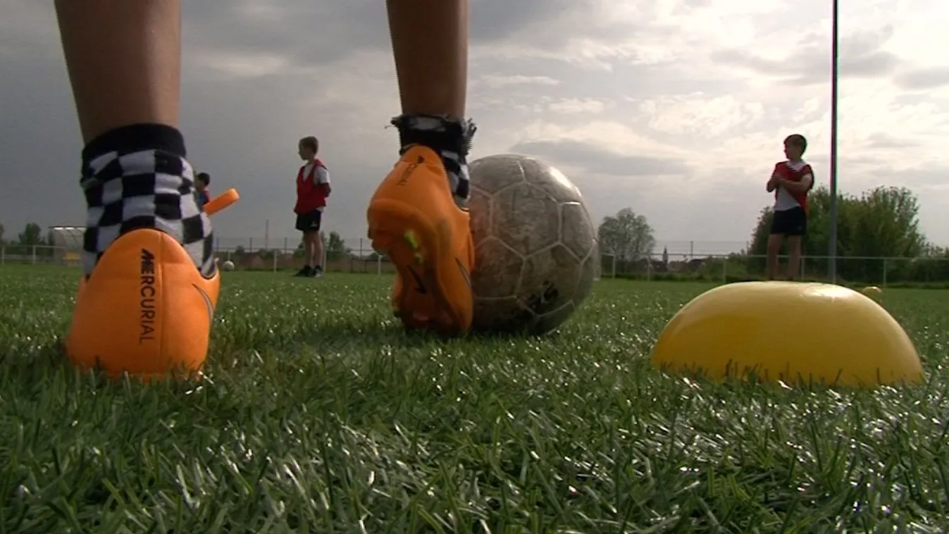 Hallani sem akar a taórendszer kiterjesztéséről a kormány