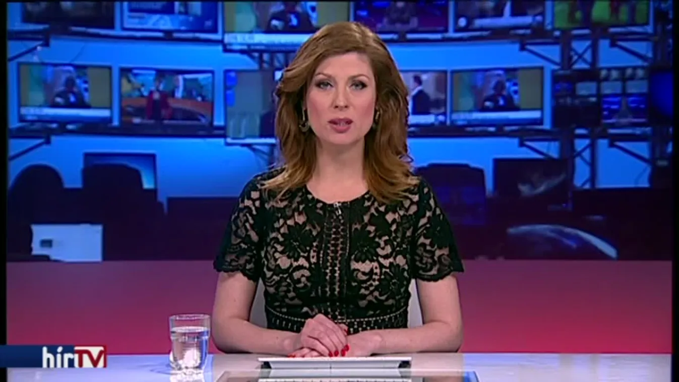 Mutyizik a DK politikusa?