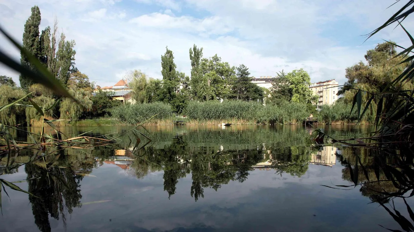 Tiltakozik a DK az építkezés ellen