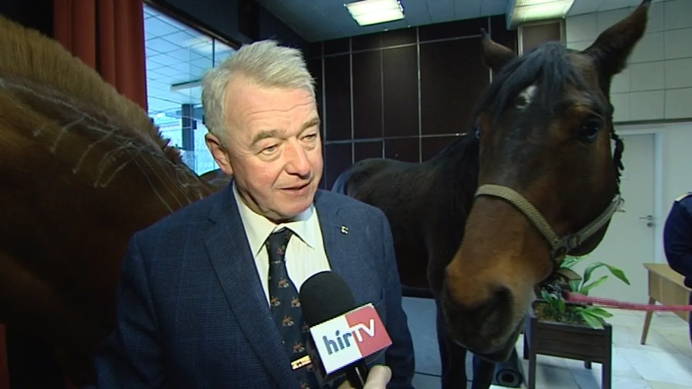 Lórehabilitációs központ: egyik tárca sem tud a megvalósíthatósági tanulmányról