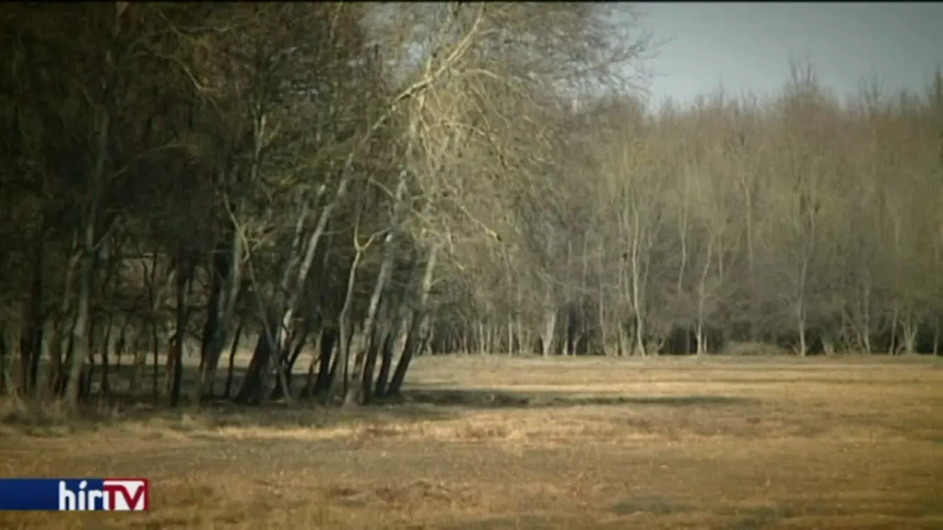 Látótér - Állati migrációk