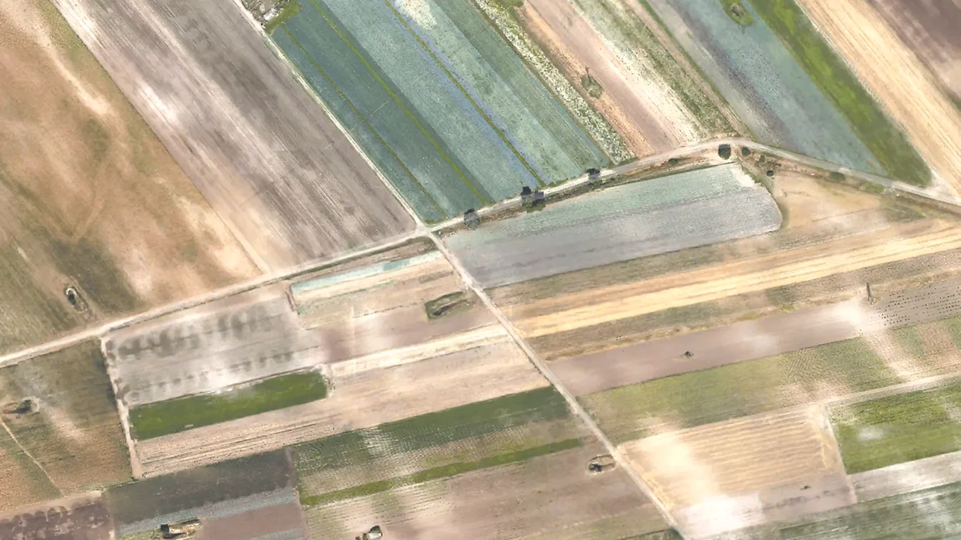 Földmutyi – Egyenesen