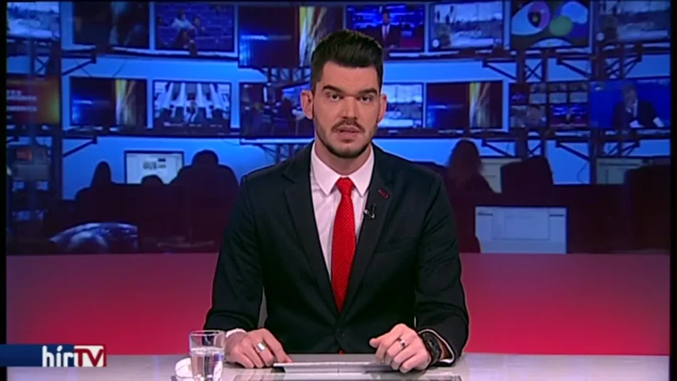 Megkárosították Mészárosék a balatonszemesi ligetet