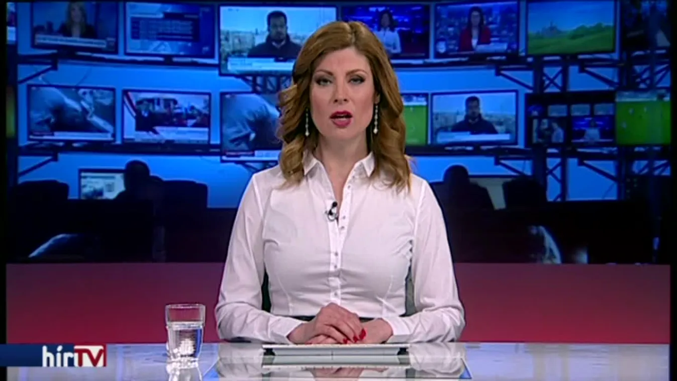 Az Elios szinte összes bevételét az Európai Unió fizette