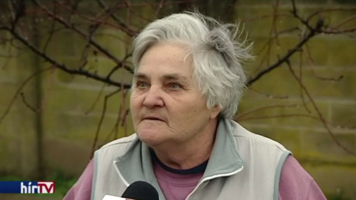 Békés megye 4-es számú választókerülete