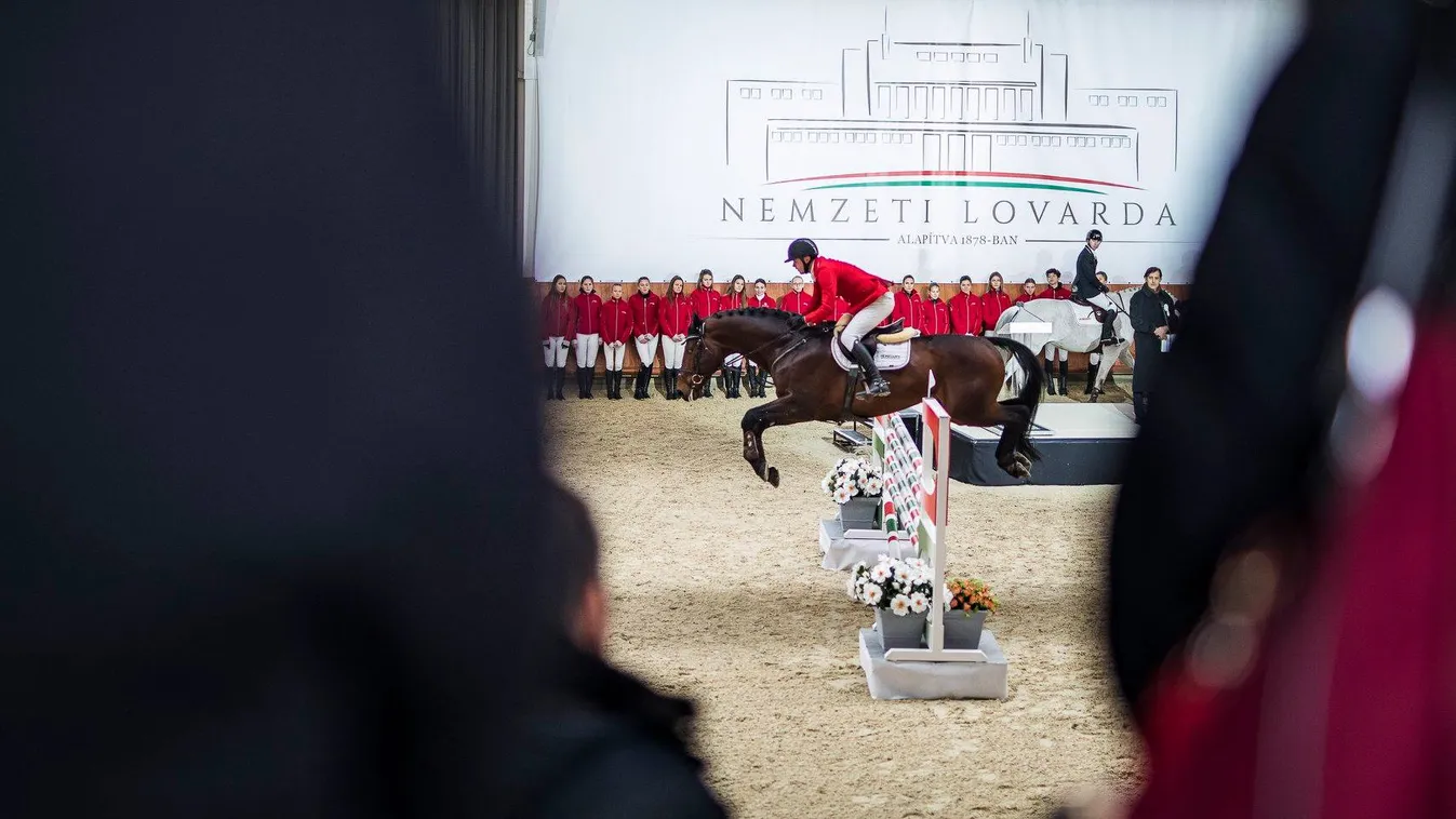 „A lovaságazat egy állami pénzmosoda”