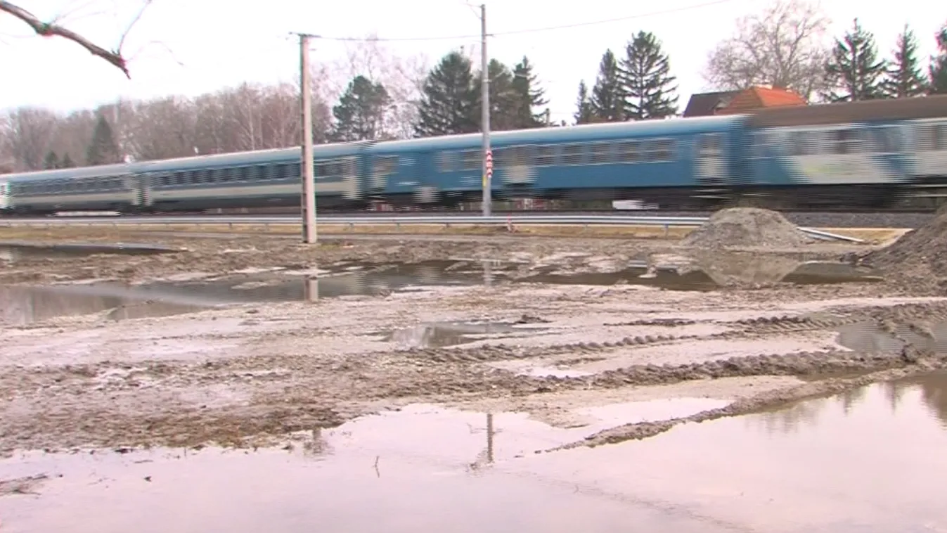 Megkárosították Mészárosék a balatonszemesi ligetet