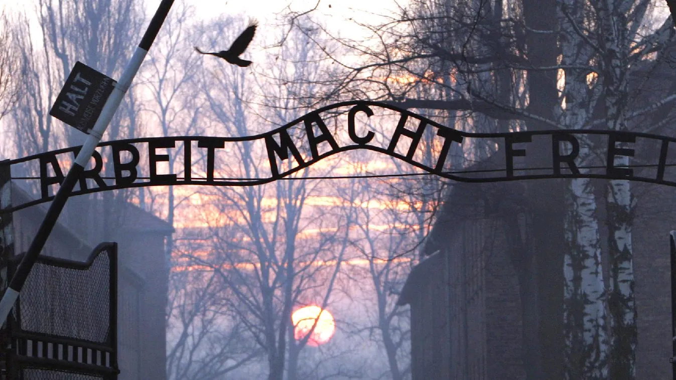 Szejm - Európai híradó