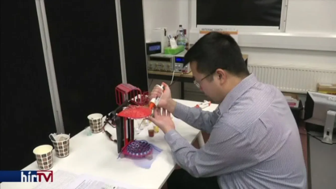 Felfedező - Ízlebegés