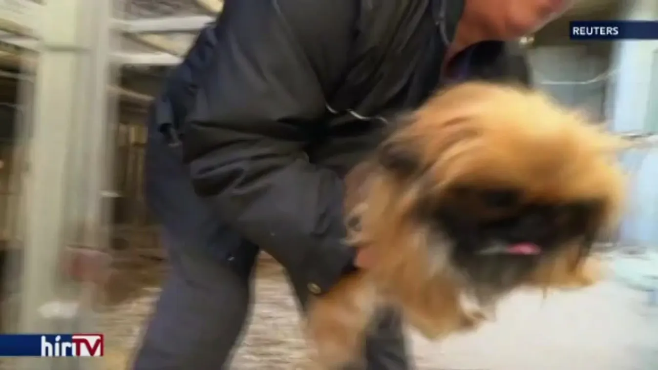 Felfedező – Holdévek