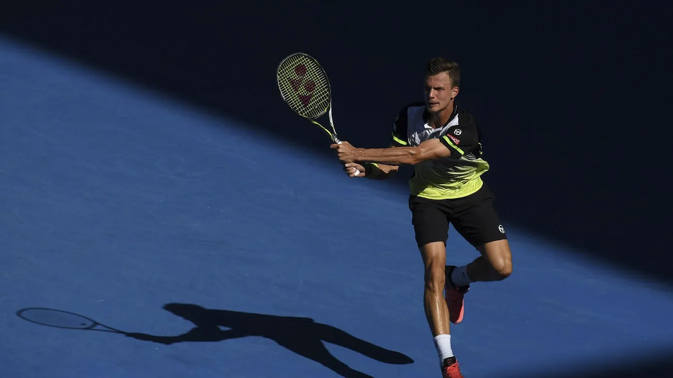 Fucsovics győzelemmel tért vissza, Cilic lesz az ellenfele