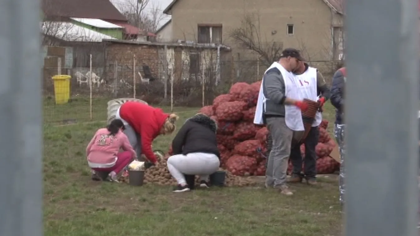 Csak a Fidesznek aláíró rászorulók kaptak élelmiszercsomagot?