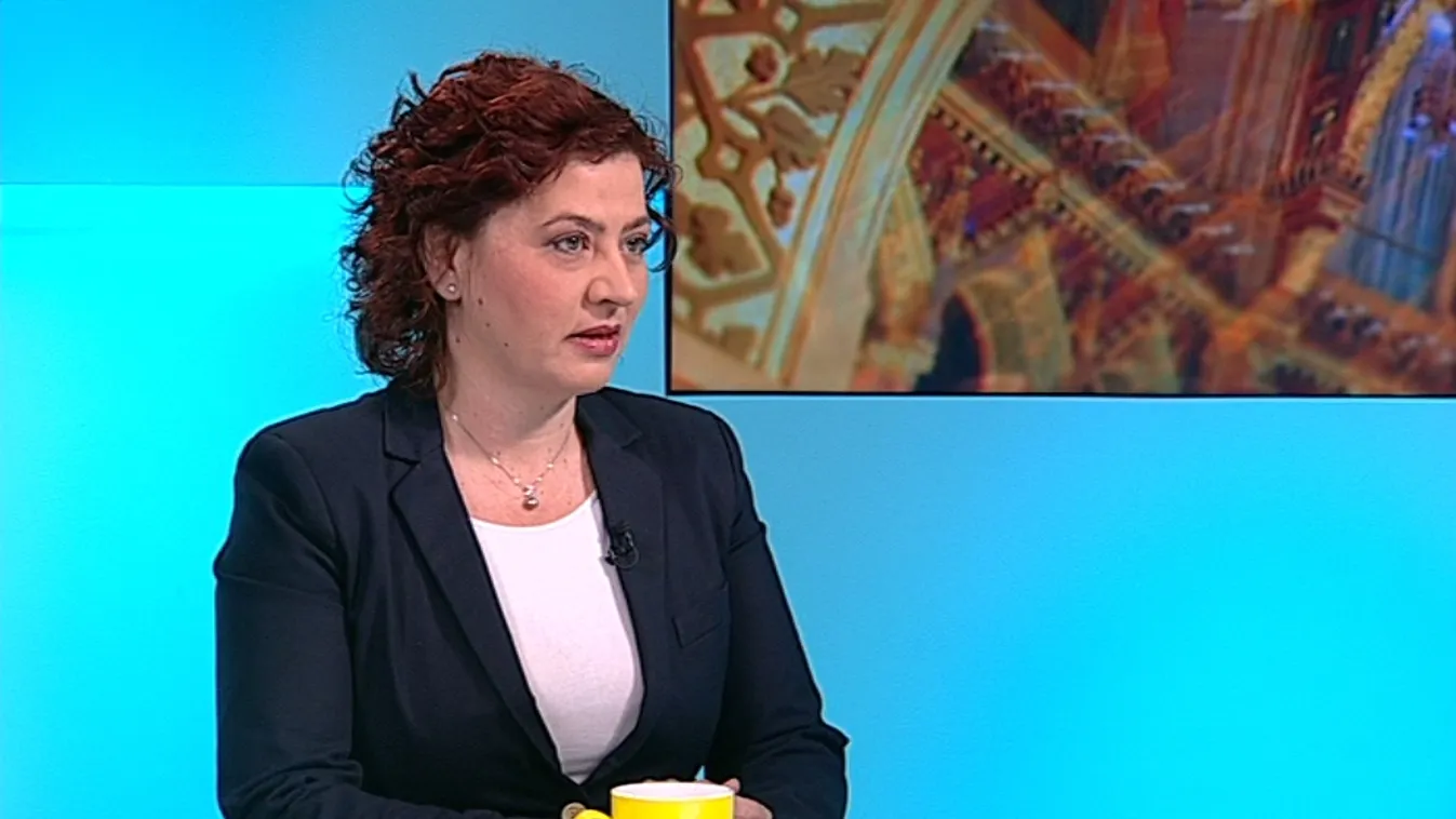 Czeglédy a titkos pártpénztárnok?