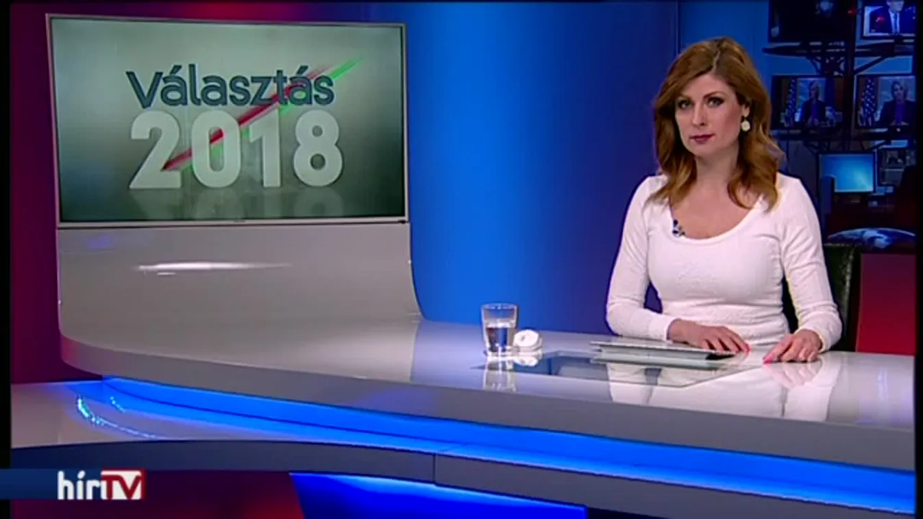 Európa-bajnok birkózó falazott a Fidesznek Miskolcon