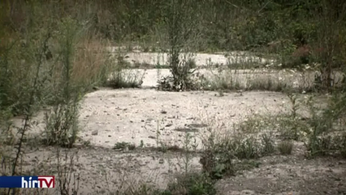 Látótér - Táborhely