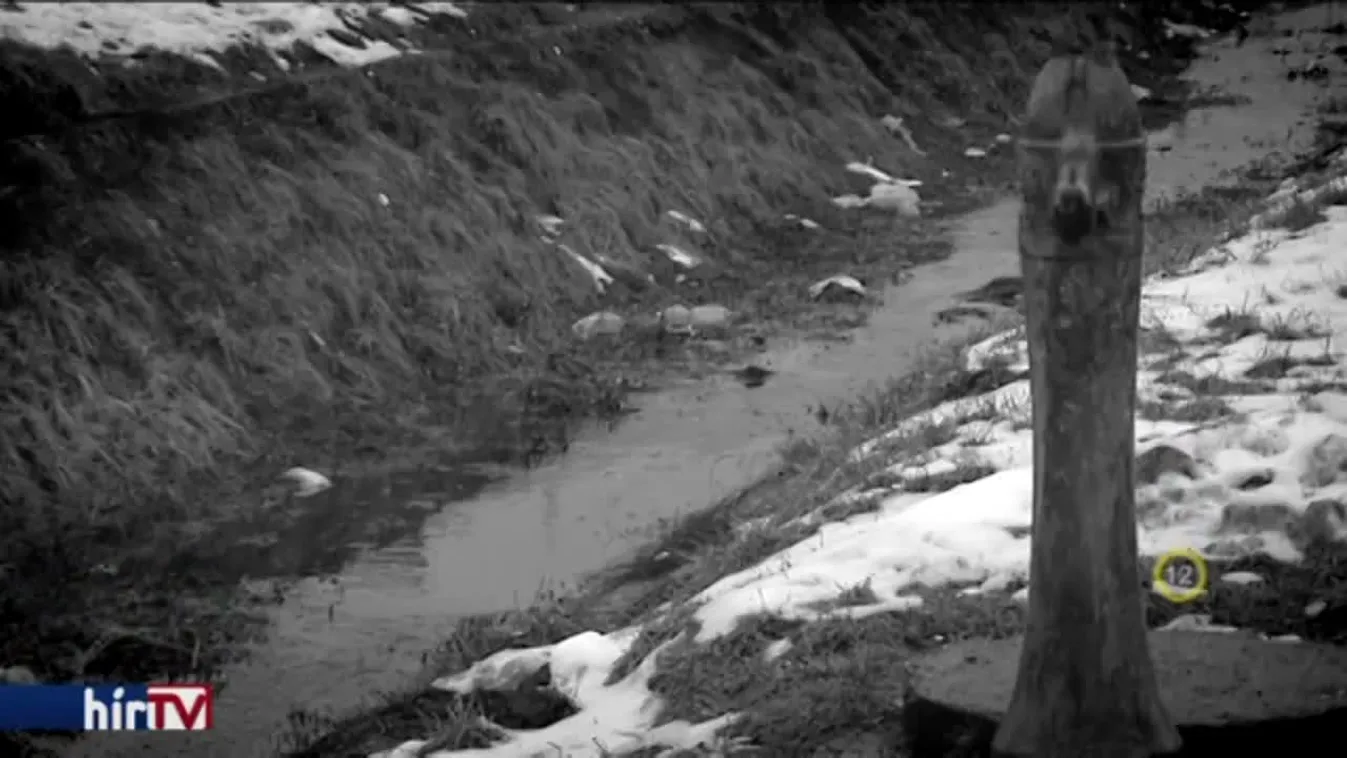 Riasztás – Szétszakított családok