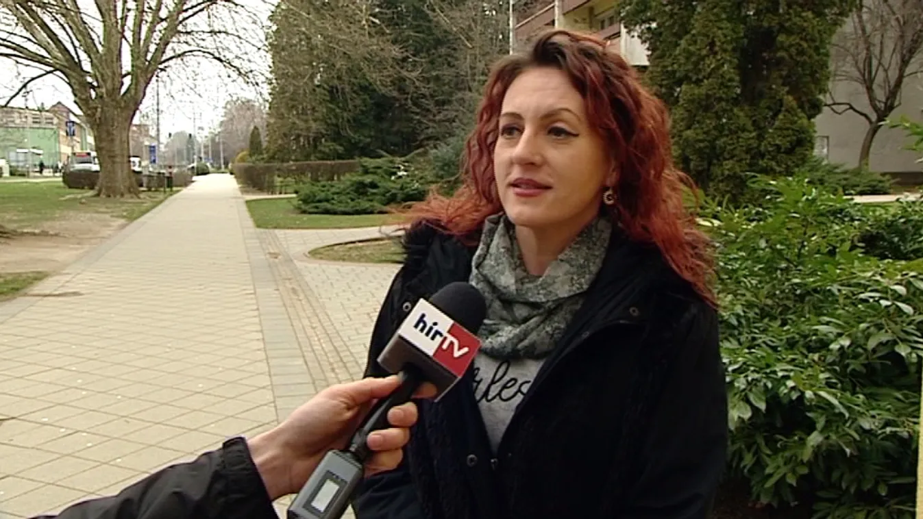 Somogy megye 2-es számú választókerülete