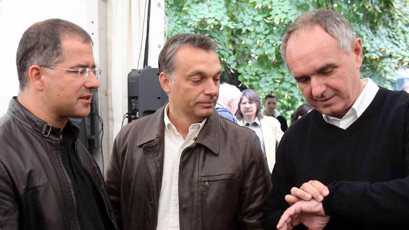 Tégla – Napról napra