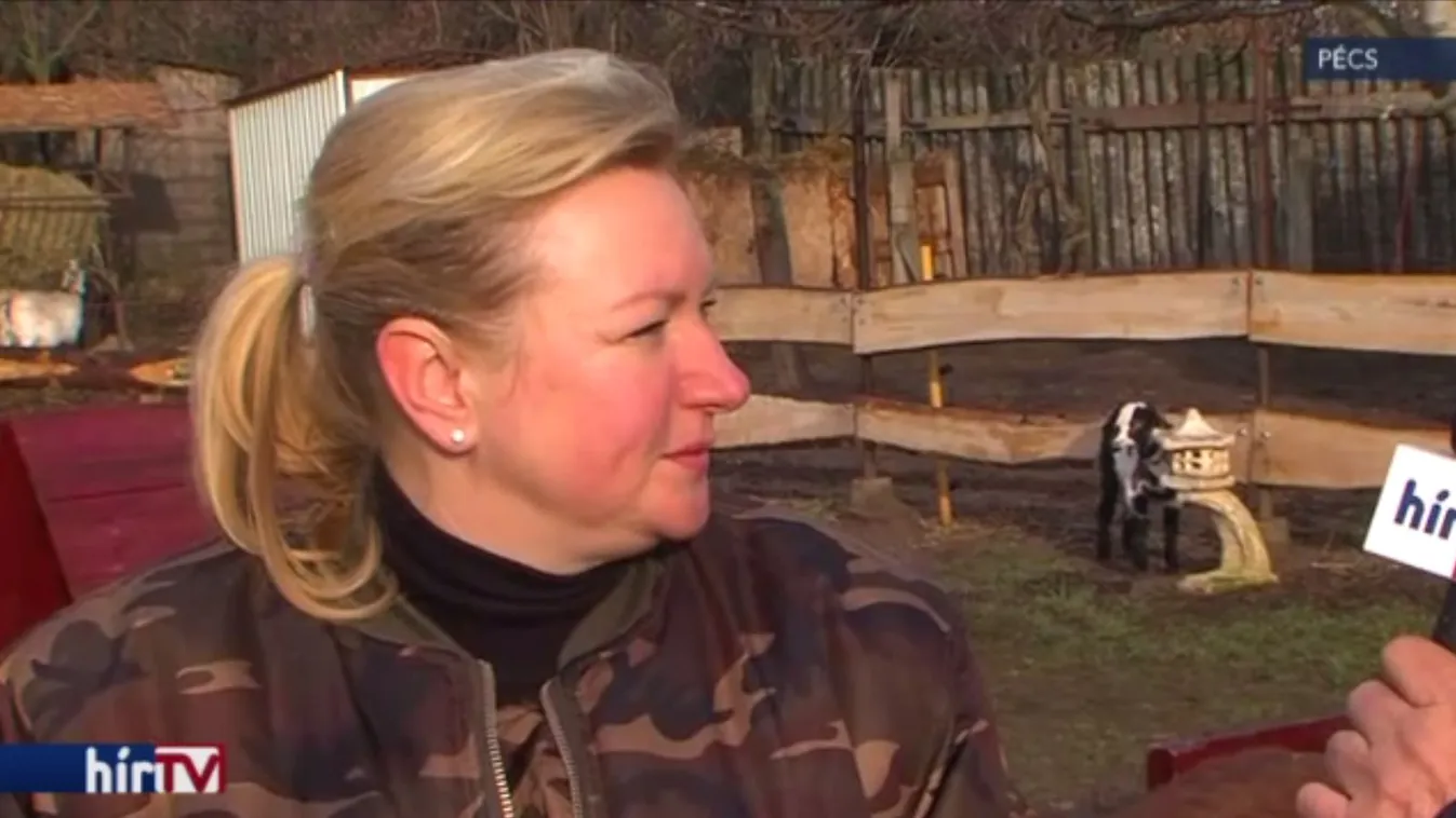 A hölgy, aki ért az állatok nyelvén