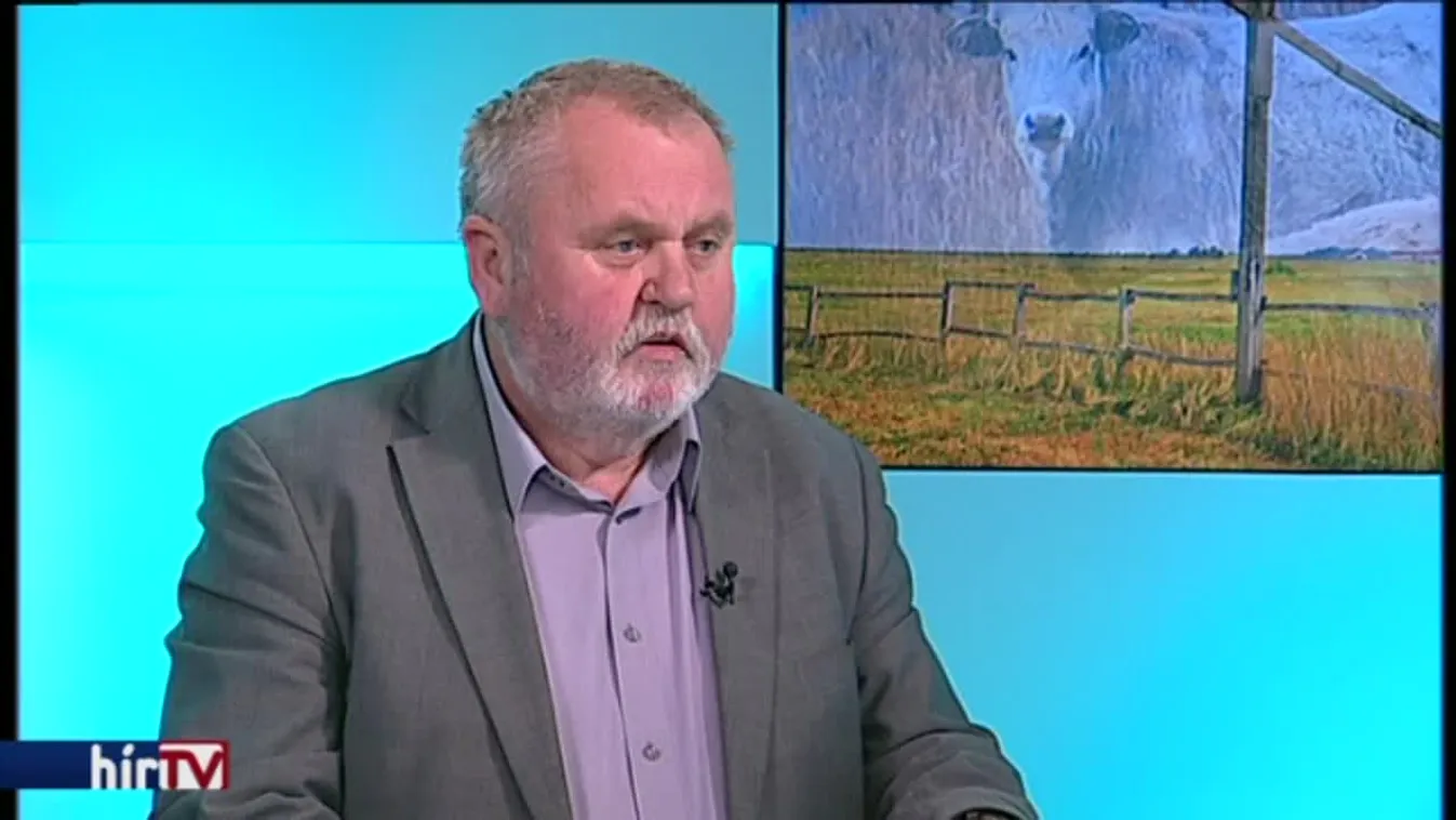 Reggeli járat – Juhászokat szorítanának ki a vadászok