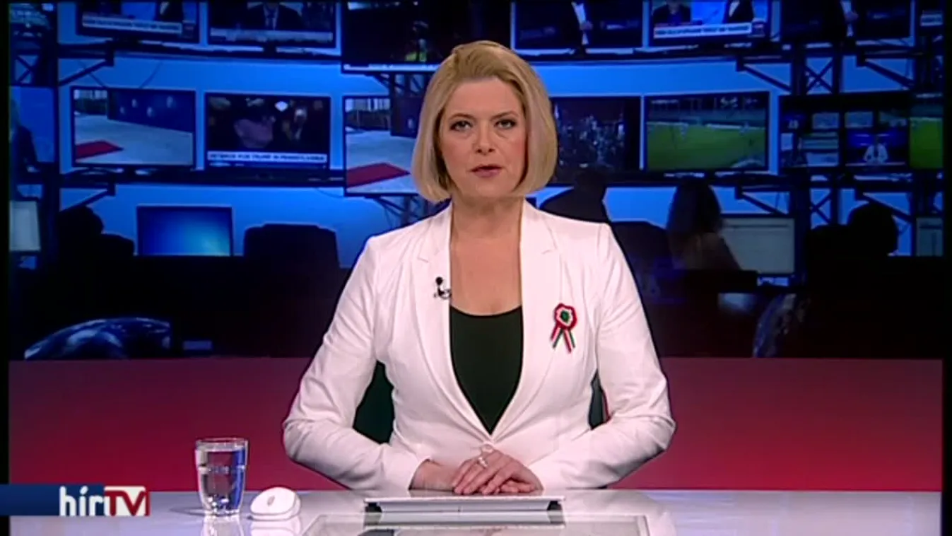 NVB: Jogellenesen távolították el a Jobbik-plakátokat