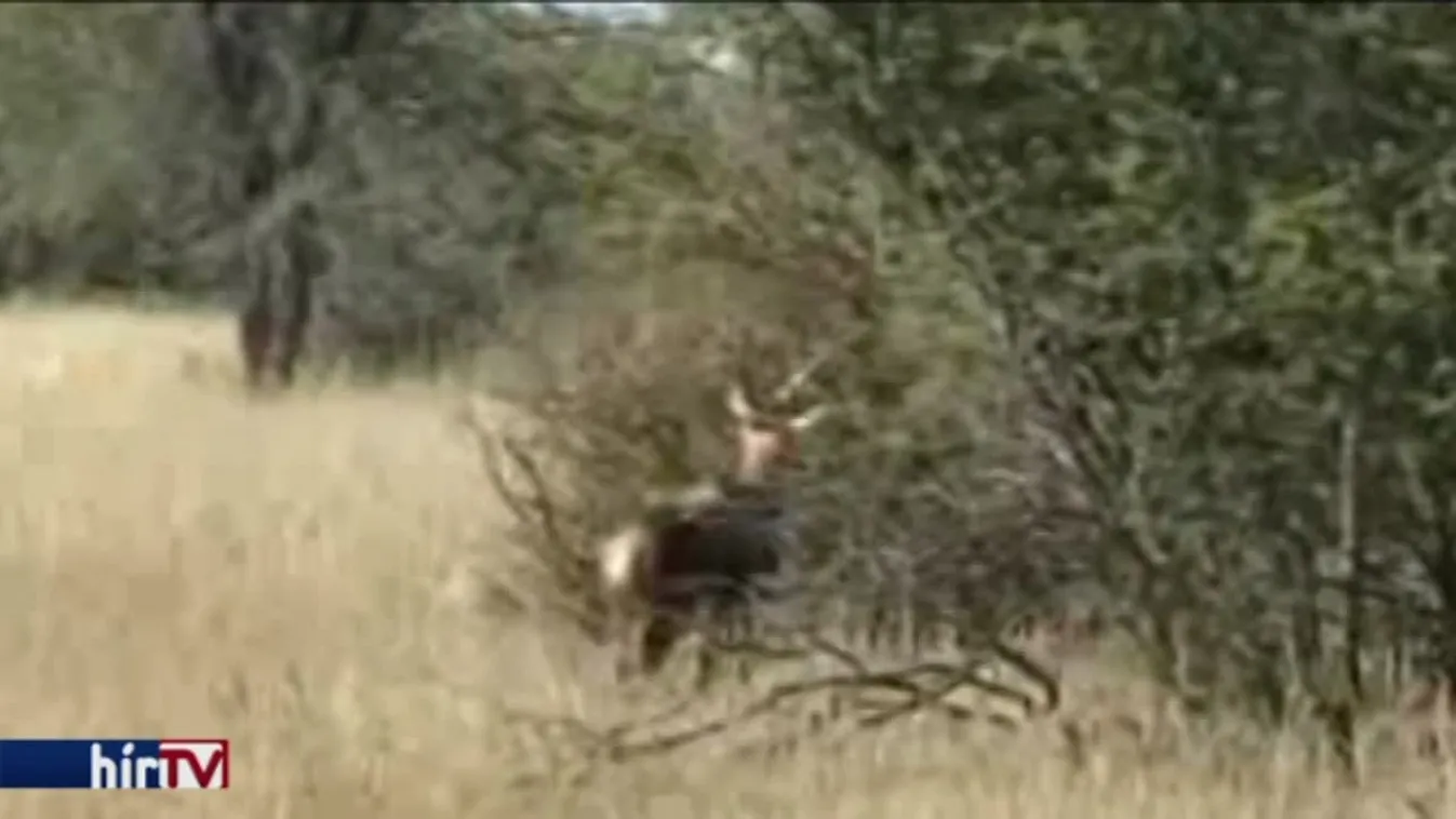 Hogy mit is lőtt, maga Semjén sem tudja