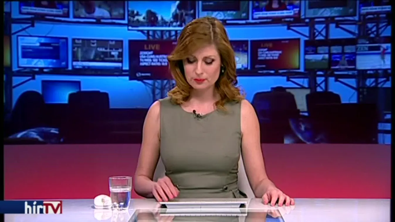 Jogtalanul szedették le Hadházy Ákos plakátjait