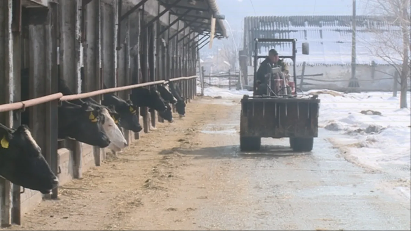 Csak a napi kiadásokra futja – Soroló
