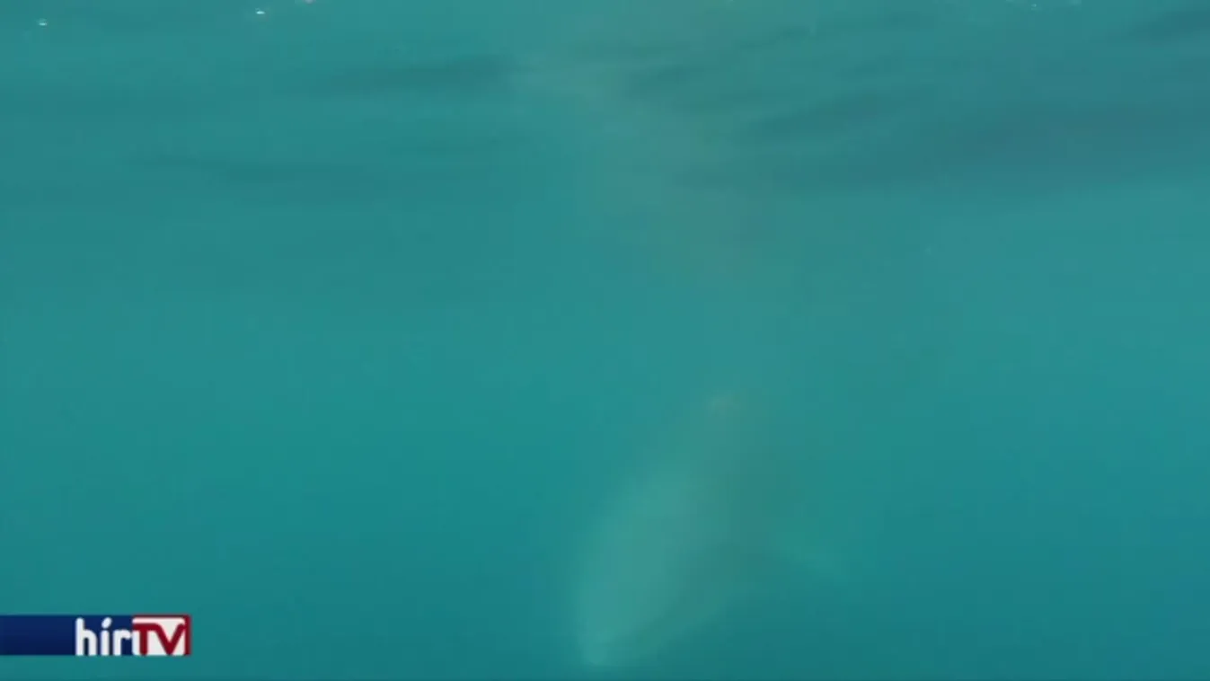 Felfedező - Kandikamera