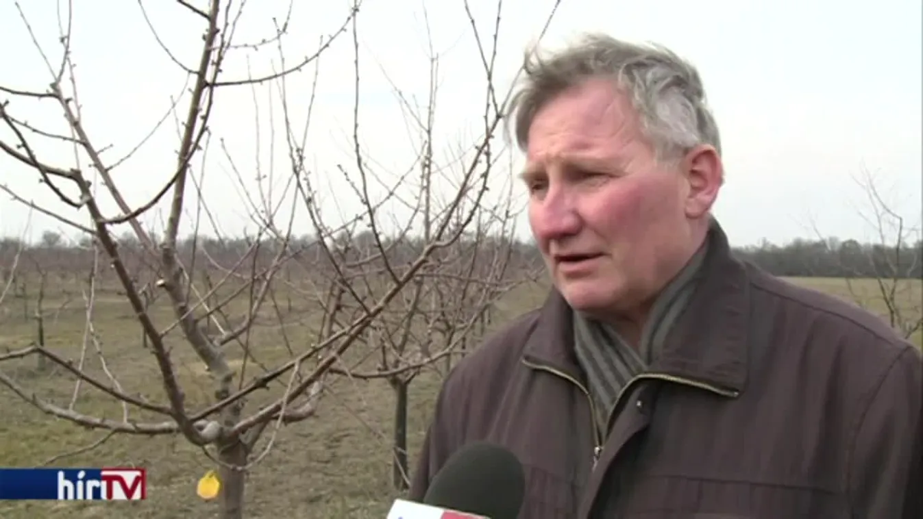 Aggódnak a gyümölcsösök tulajdonosai