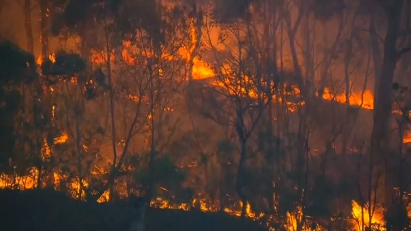 Feltehetően gyújtogatás okozta a kiterjedt bozóttüzet Ausztráliában
