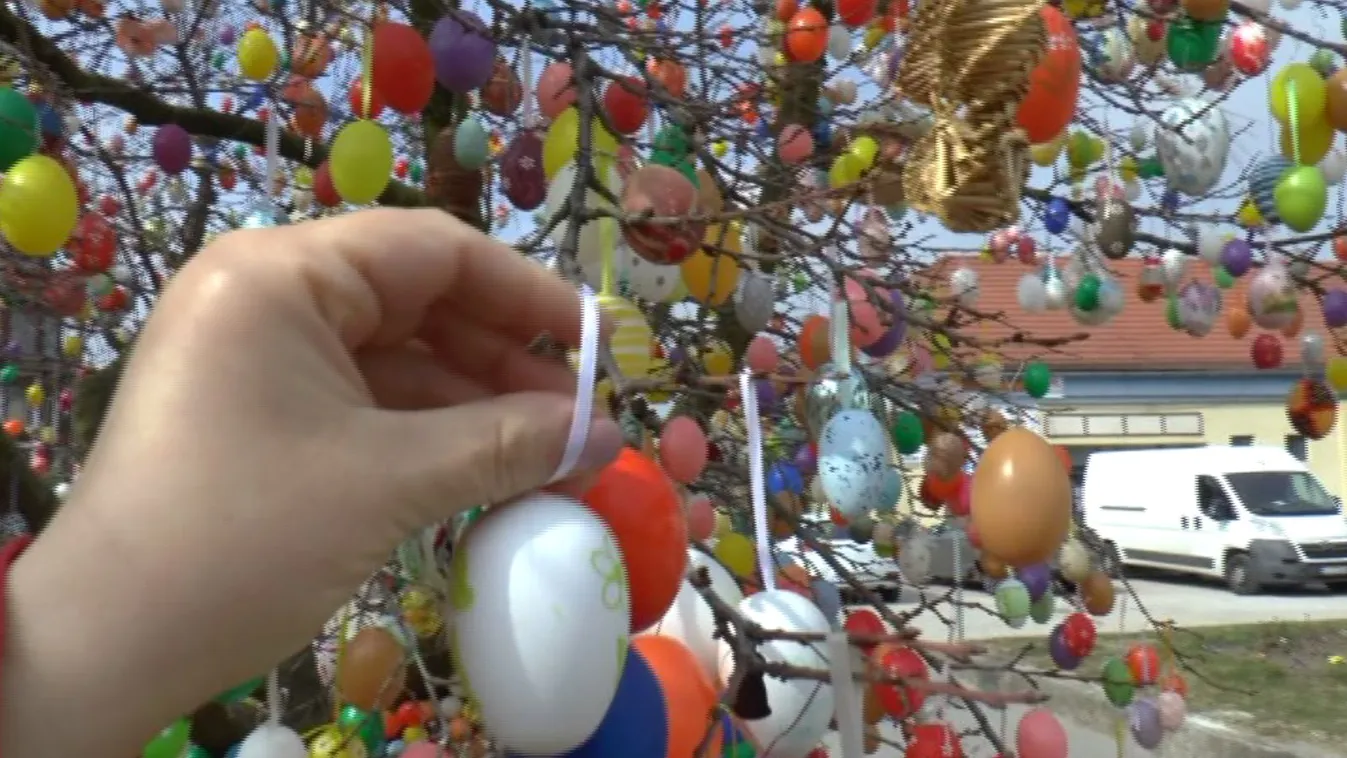 Több mint 7000 tojás ékesíti a kéthelyi tojásfát