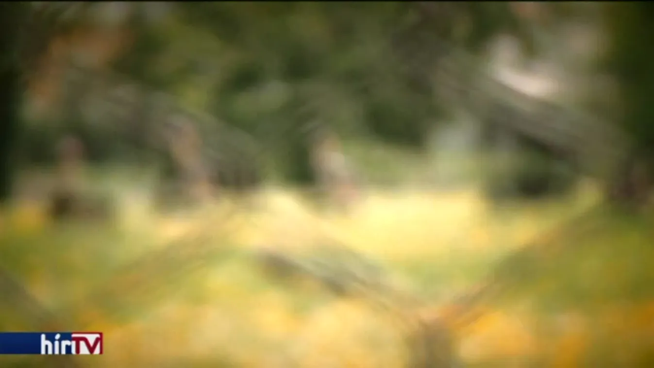 Látótér – Szétköltözők